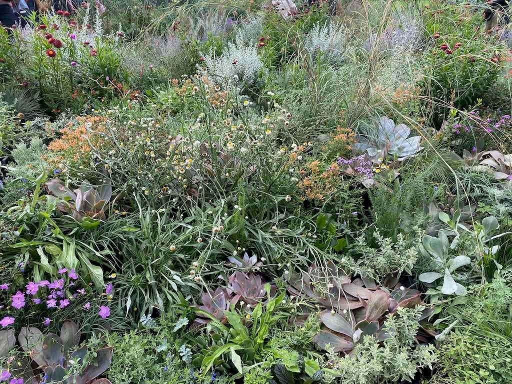 Melbourne Garden Show : 2026 Image -69d9c155bb94c