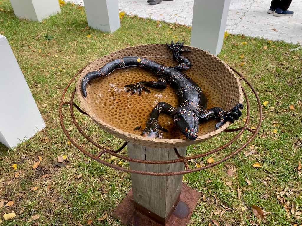 Melbourne Garden Show : 2026 Image -69d9c15cdac6c