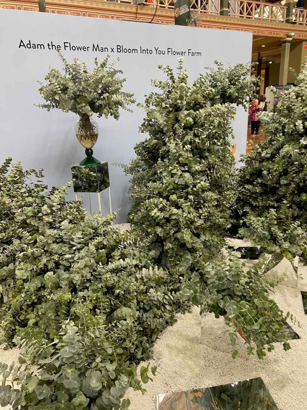 Melbourne Garden Show : 2026 Image -69d9c15e364a0