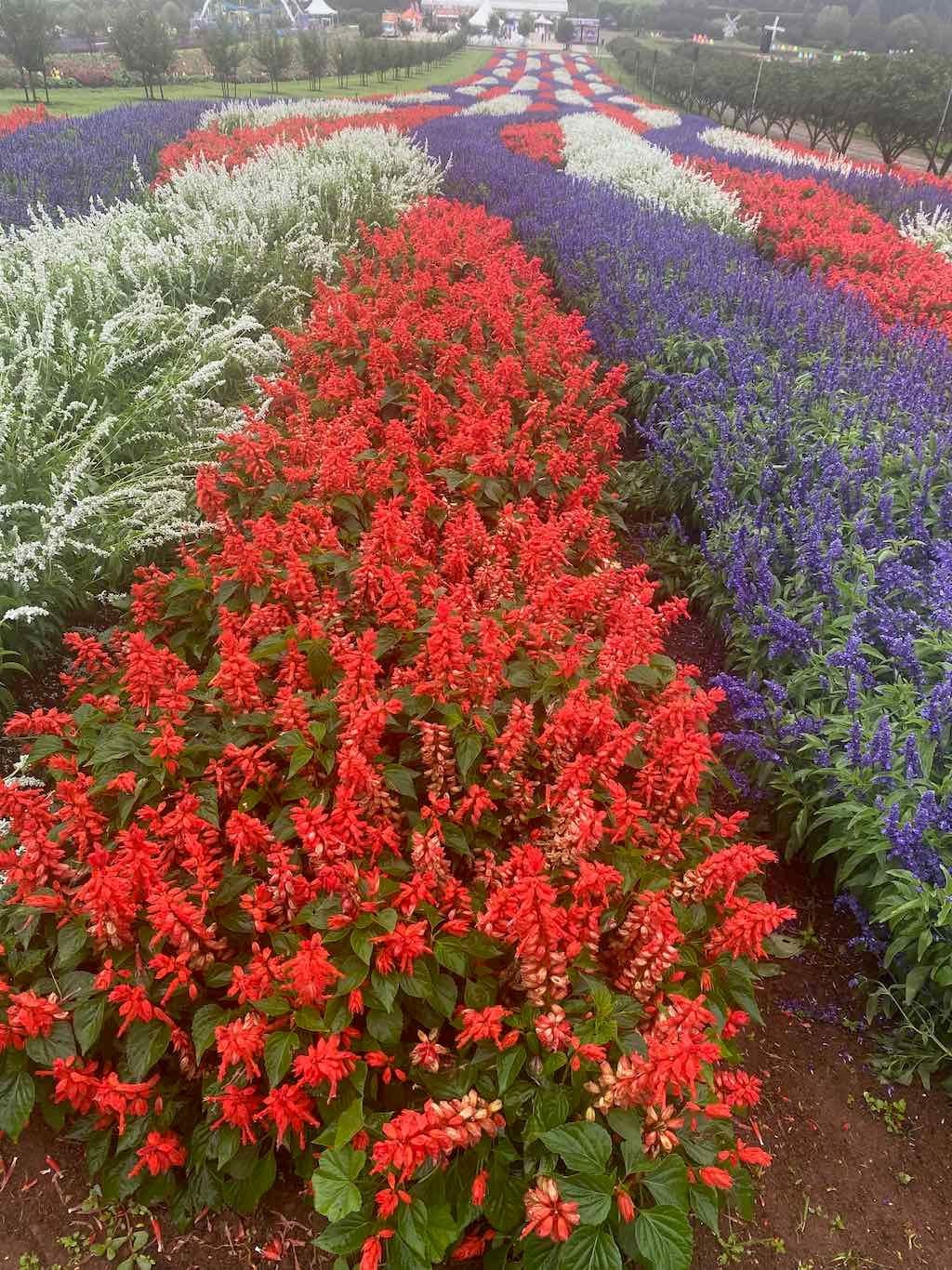 Melbourne Garden Show : 2026 Image -69d9c16899d7d