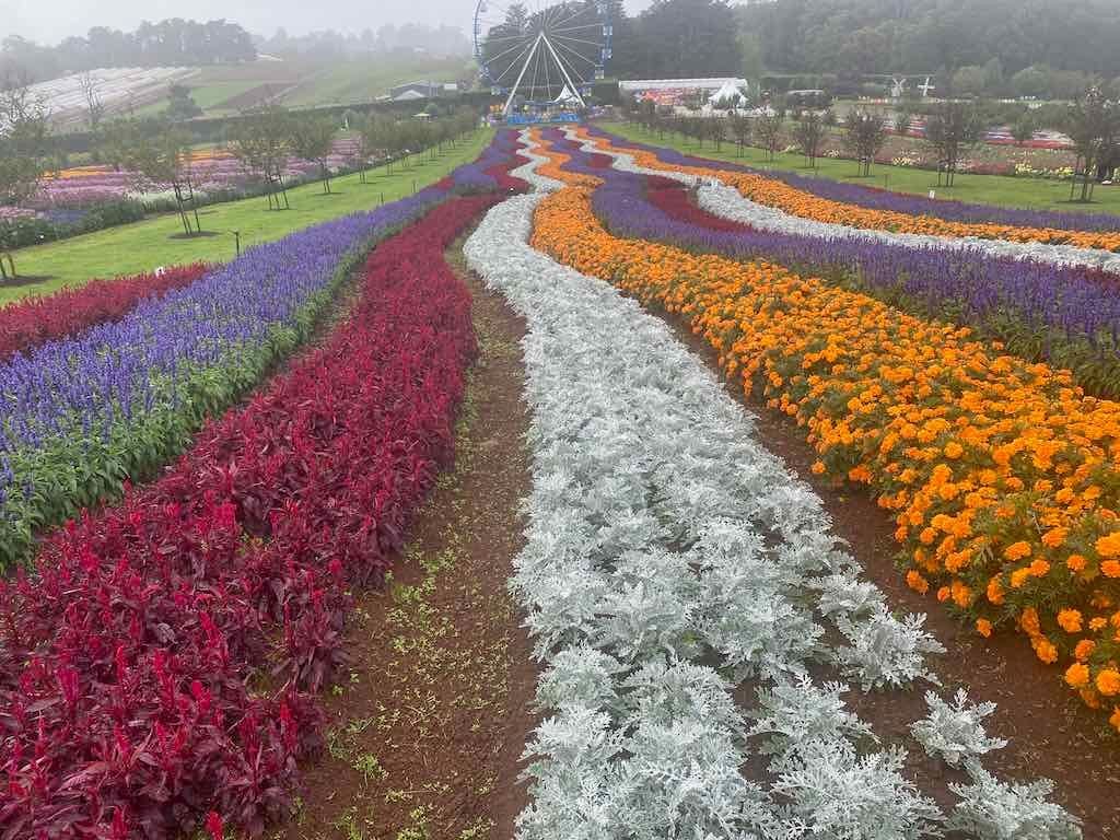 Melbourne Garden Show : 2026 Image -69d9c168e97cd