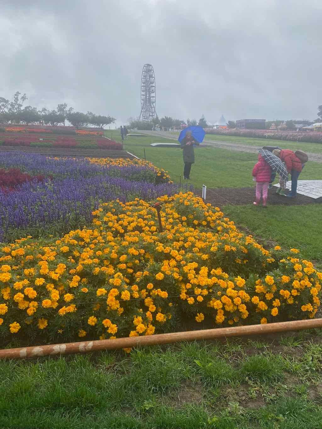 Melbourne Garden Show : 2026 Image -69d9c16b5d265