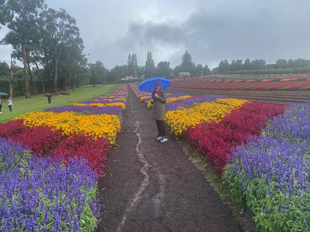 Melbourne Garden Show : 2026 Image -69d9c16bb0991