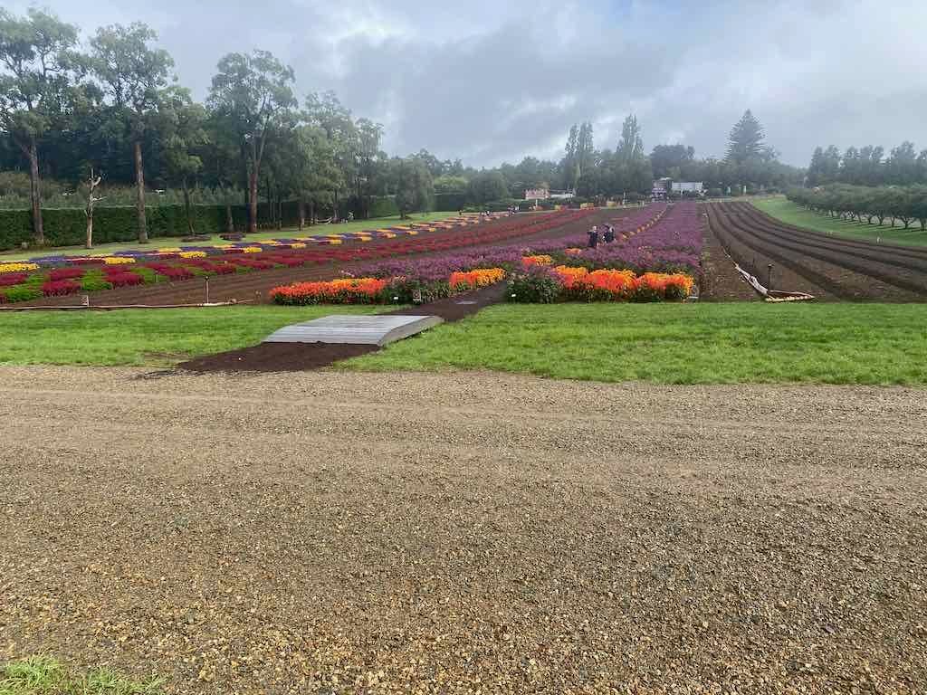 Melbourne Garden Show : 2026 Image -69d9c16c56f49