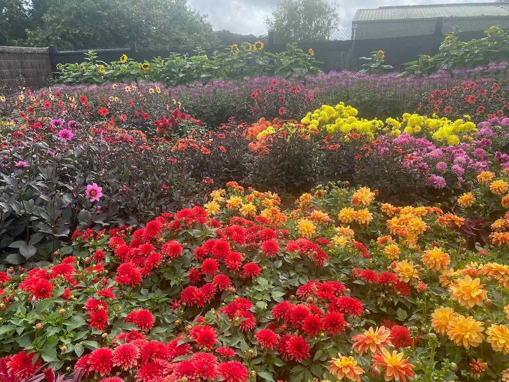 Melbourne Garden Show : 2026 Image -69d9c16da960c