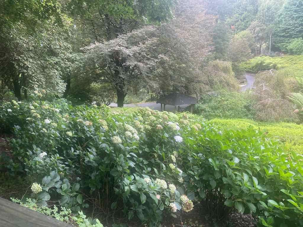 Melbourne Garden Show : 2026 Image -69d9c1725684d