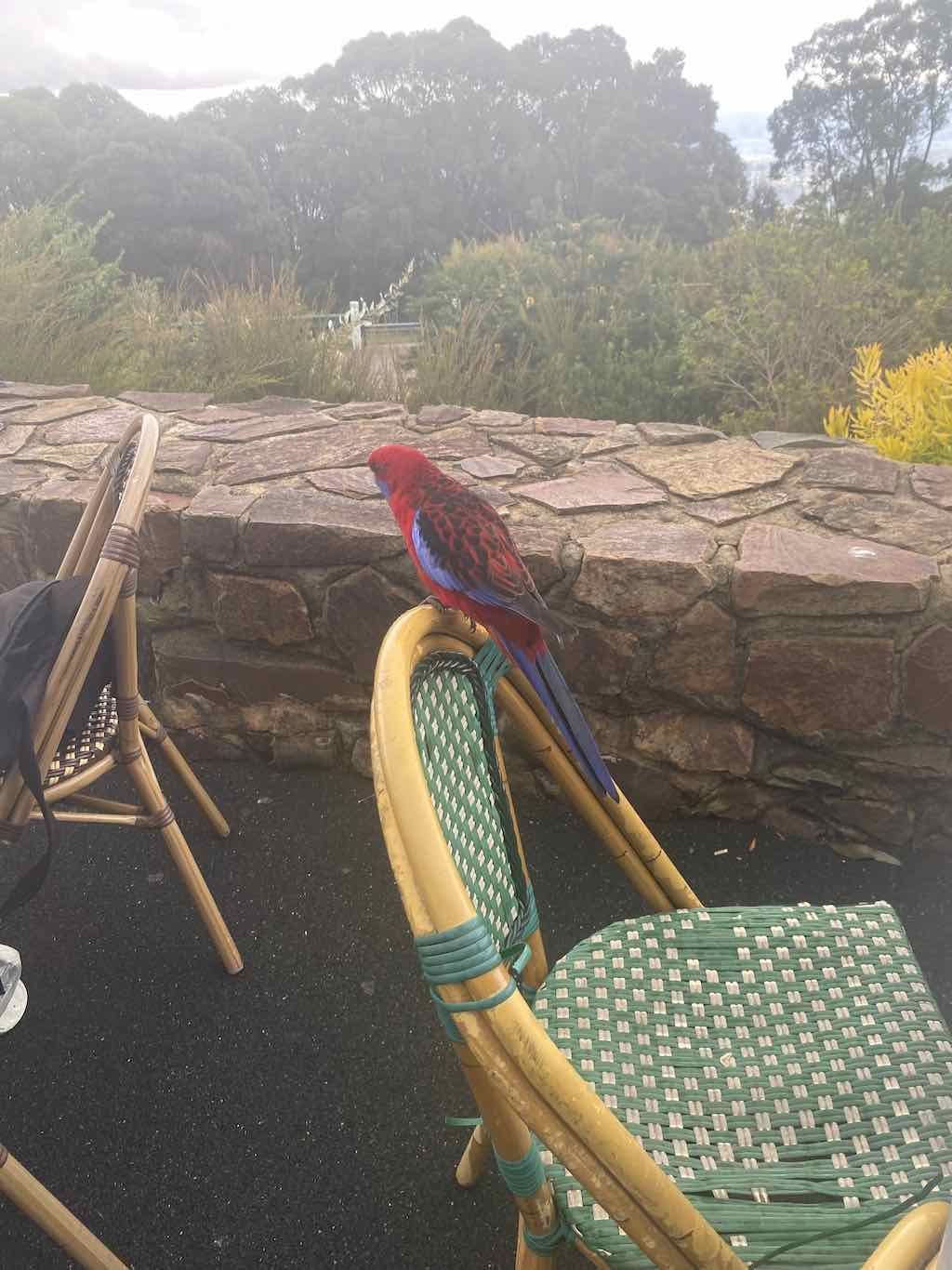 Melbourne Garden Show : 2026 Image -69d9c17355ebb