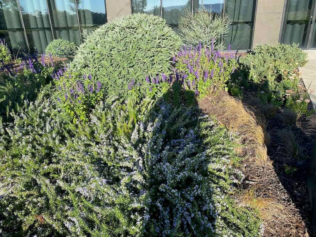 Melbourne Garden Show : 2026 Image -69d9c1799df6a