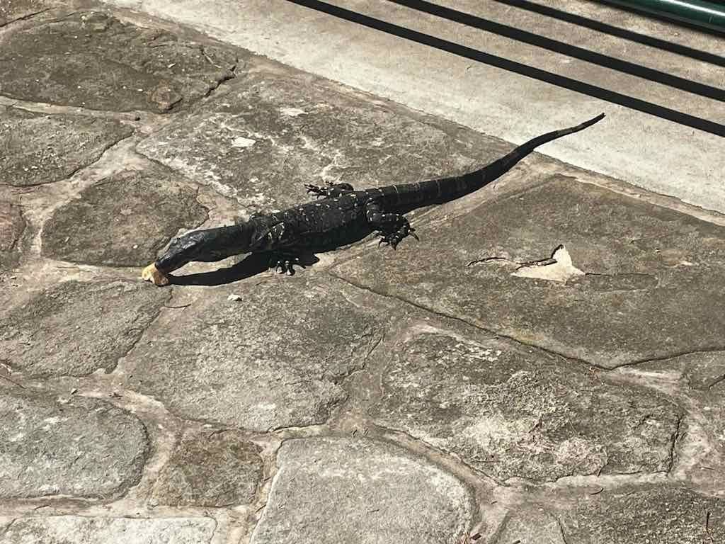 Lovely Lunches : Bobbin Head 2nd April 2026 Image -69d9c604454aa