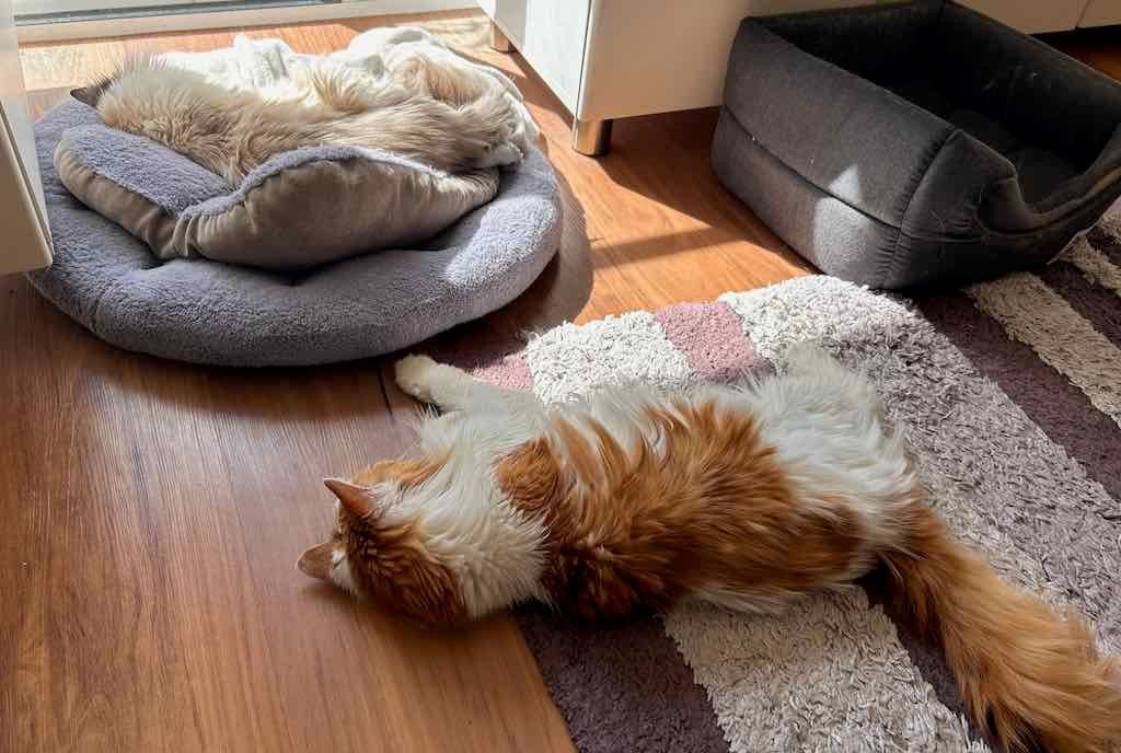 Government House Public Day Tour : 17th April 2026 Image -69e2da3646fff