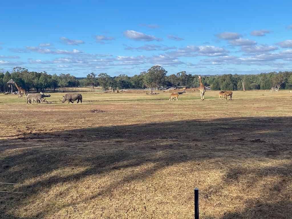 Dubbo Zoo , Parkes Orange & Bathurst Image -6a121b1a0ba1f