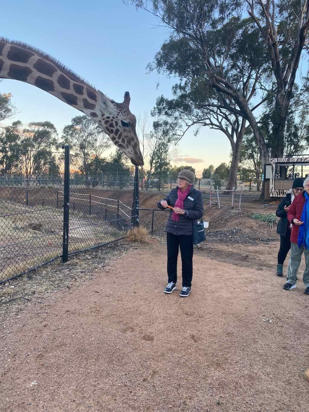 Dubbo Zoo , Parkes Orange & Bathurst Image -6a121b1f79746