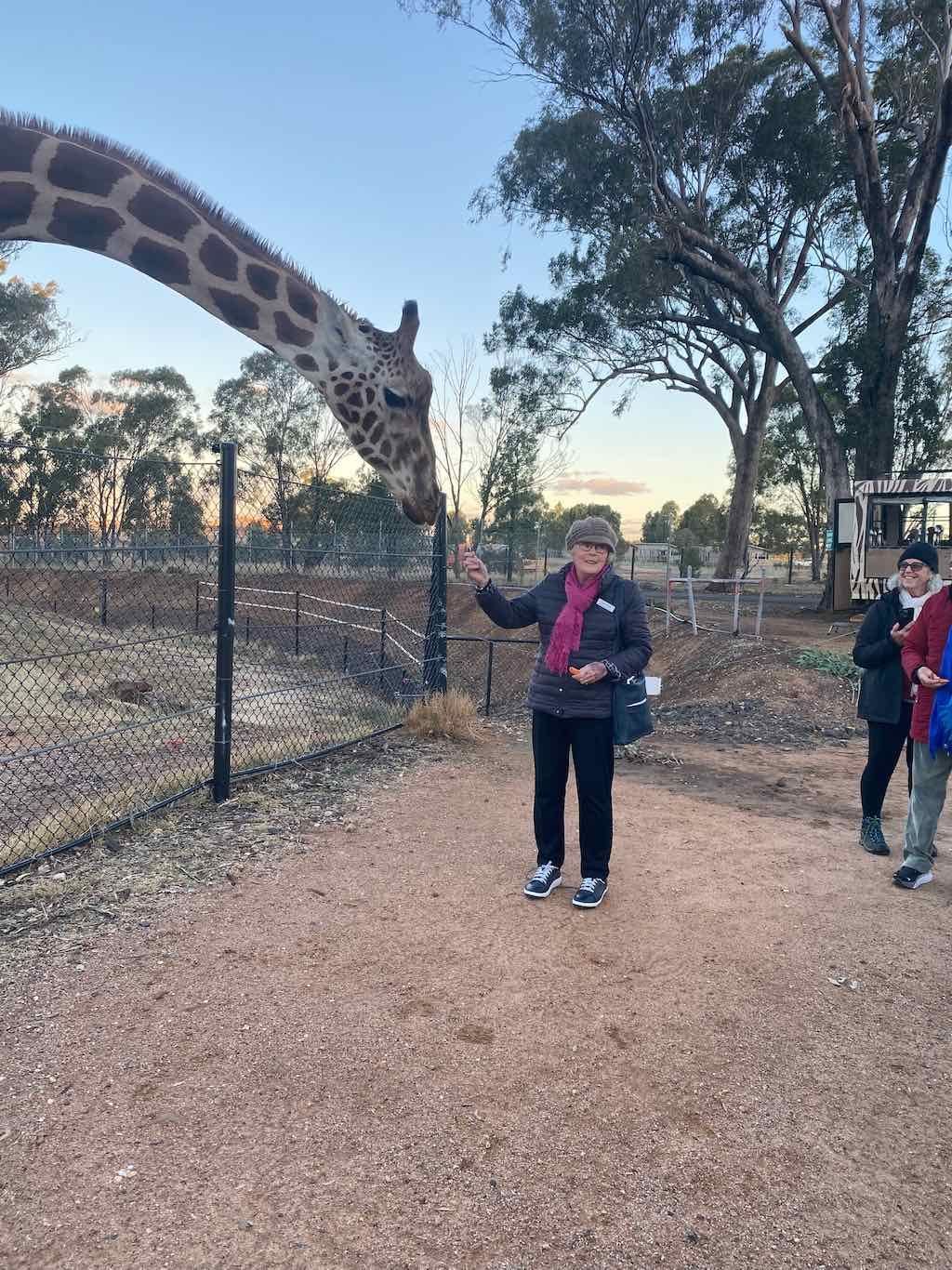 Dubbo Zoo , Parkes Orange & Bathurst Image -6a121b1fc4ec4