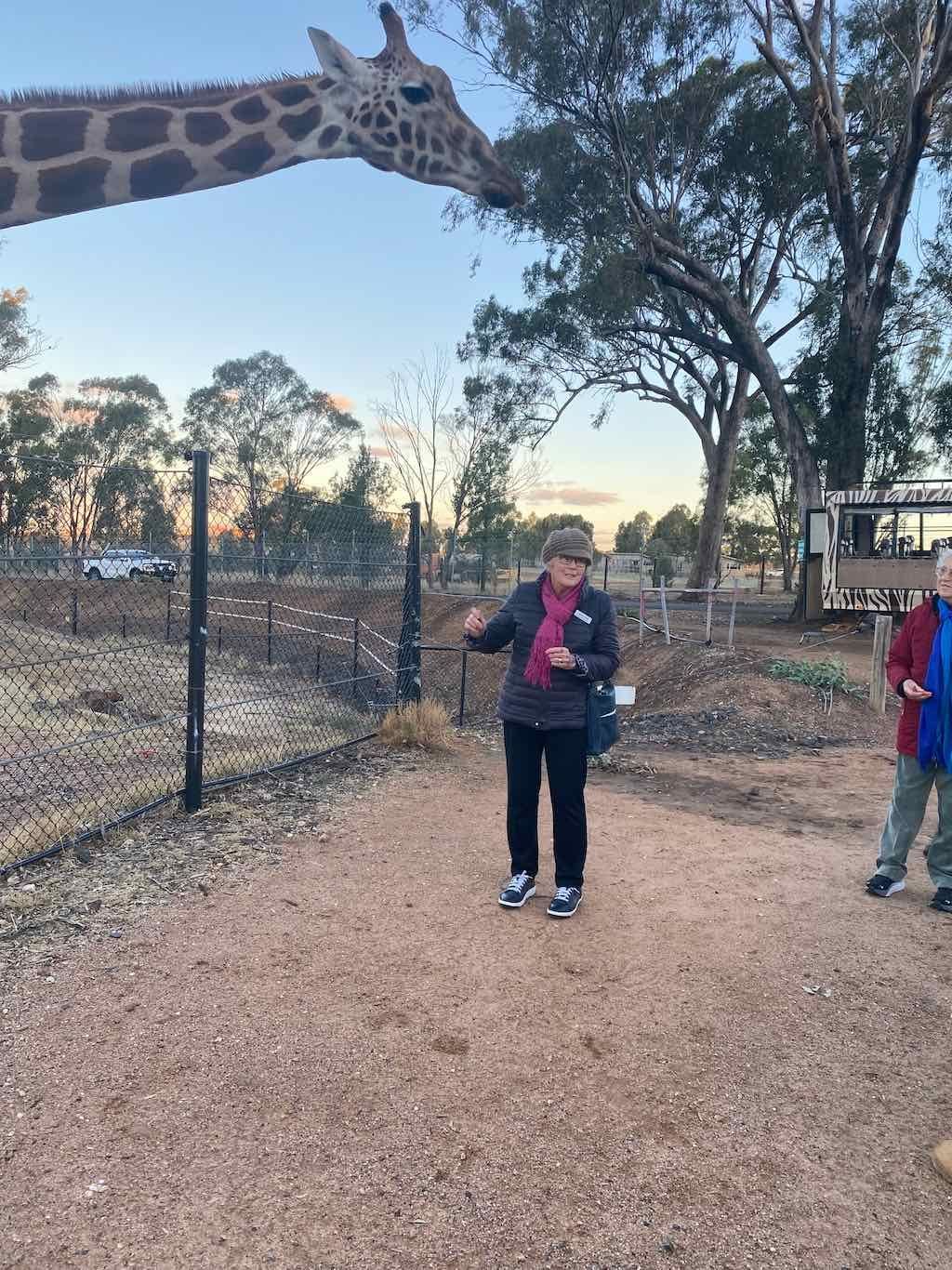 Dubbo Zoo , Parkes Orange & Bathurst Image -6a121b2021da1