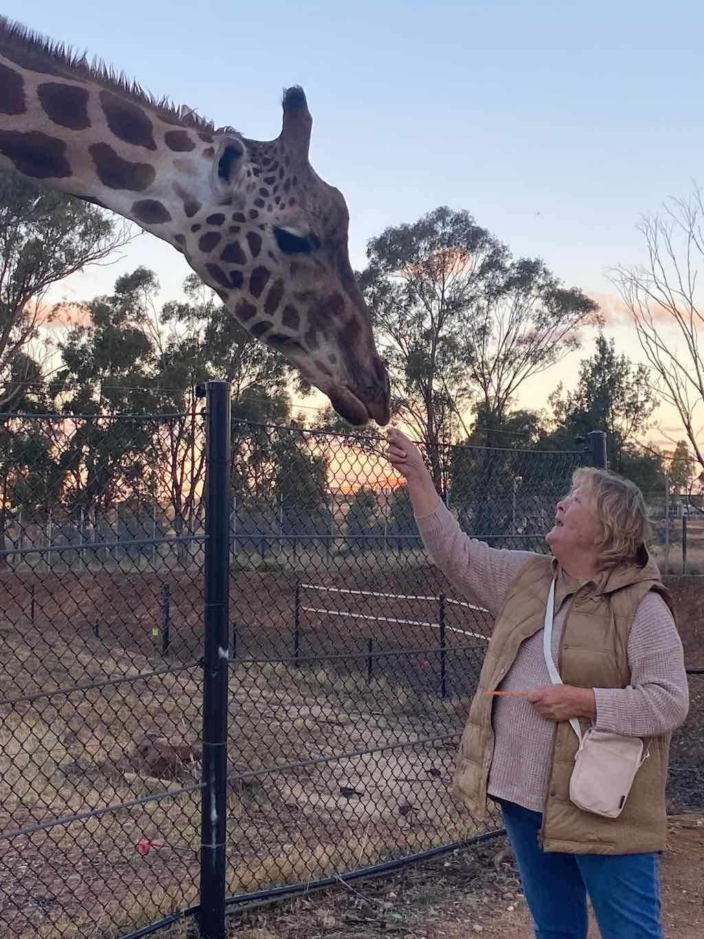 Dubbo Zoo , Parkes Orange & Bathurst Image -6a121b215bb1c