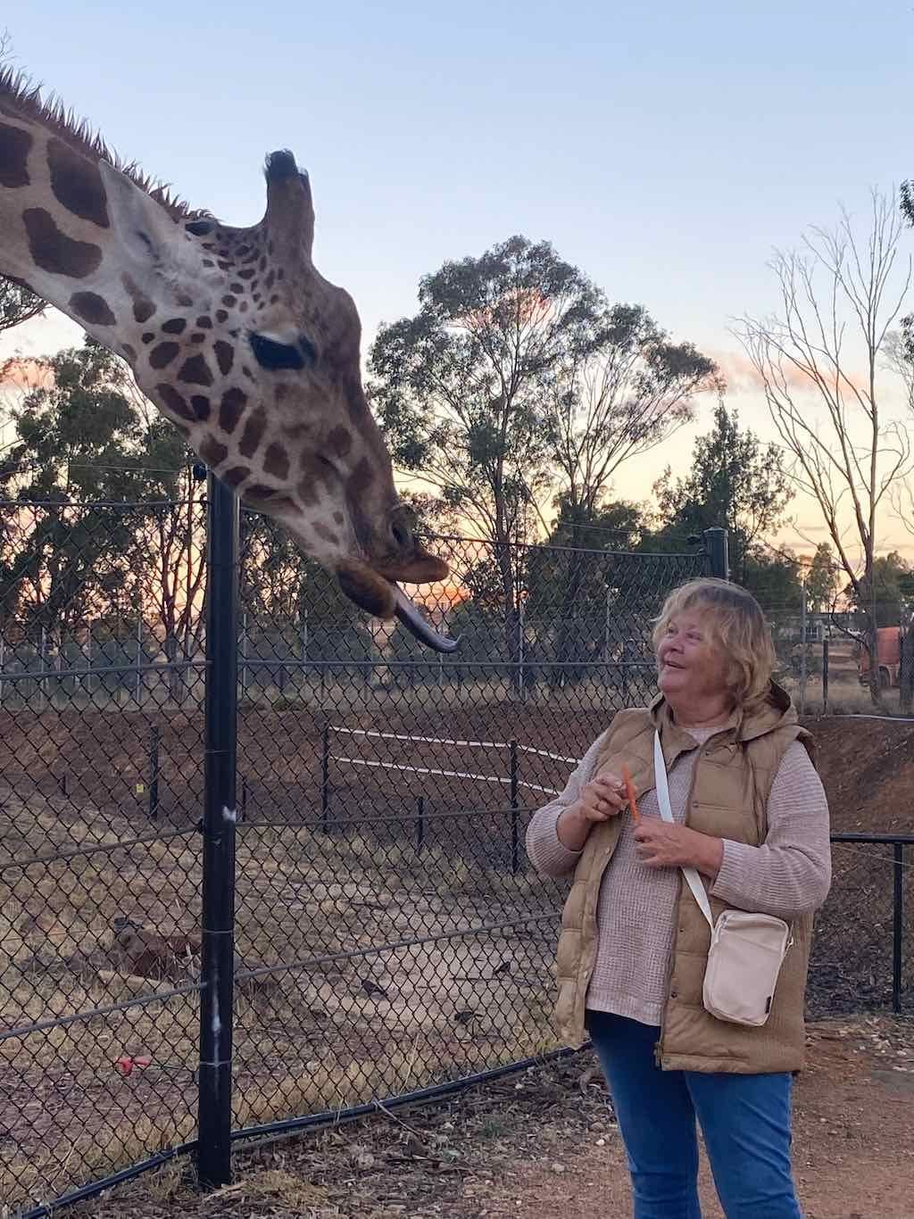 Dubbo Zoo , Parkes Orange & Bathurst Image -6a121b21a070d