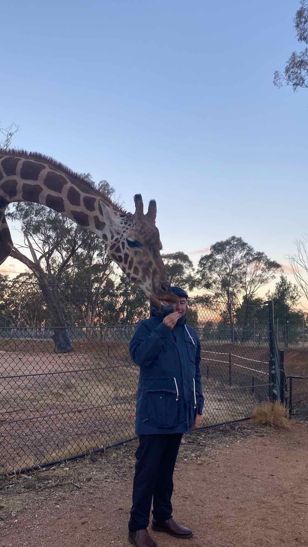 Dubbo Zoo , Parkes Orange & Bathurst Image -6a121b230347f