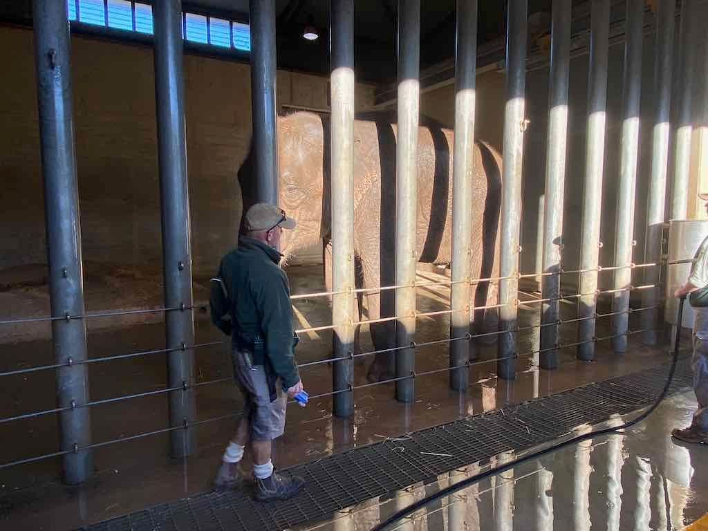Dubbo Zoo , Parkes Orange & Bathurst Image -6a121b2b1cd0f