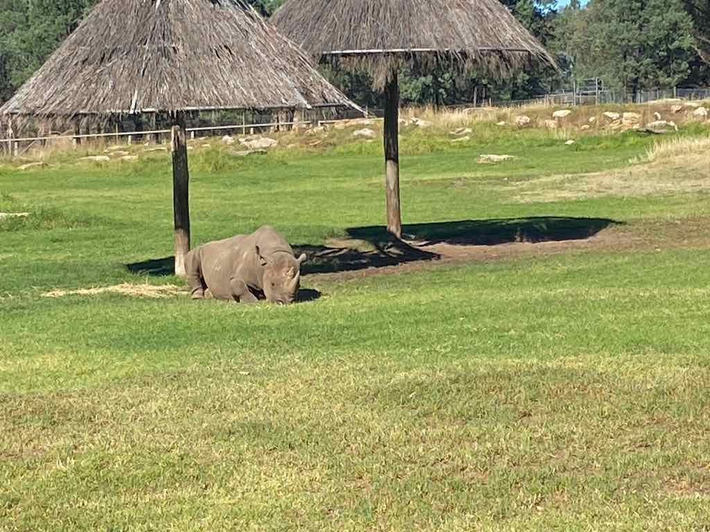 Dubbo Zoo , Parkes Orange & Bathurst Image -6a121b2f71612