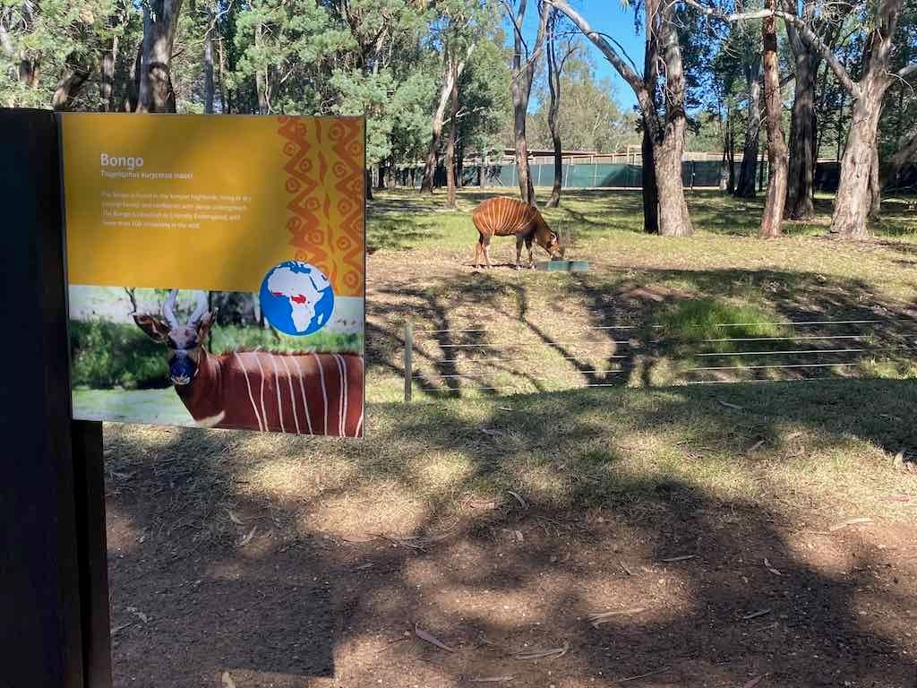 Dubbo Zoo , Parkes Orange & Bathurst Image -6a121b311a485
