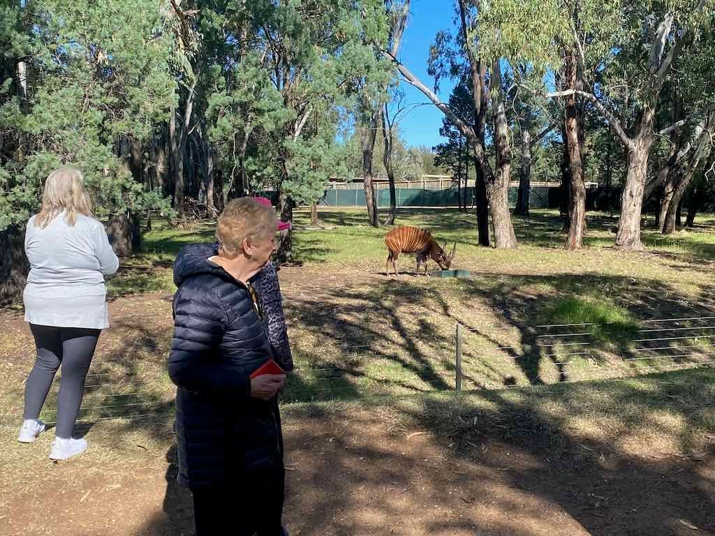 Dubbo Zoo , Parkes Orange & Bathurst Image -6a121b315f4fc