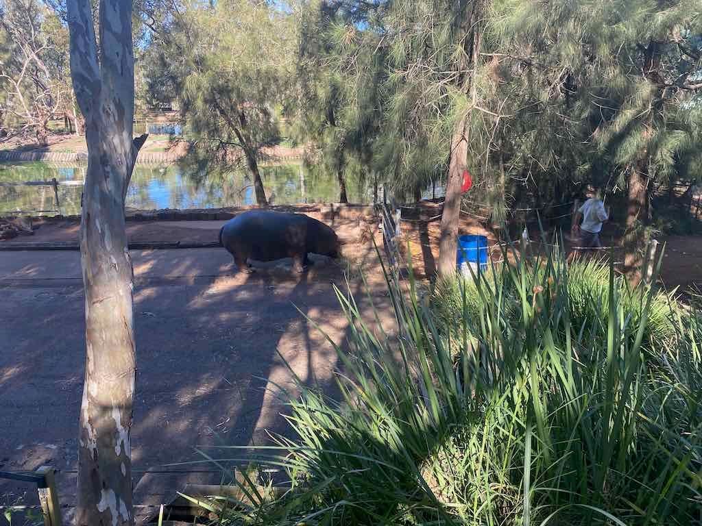 Dubbo Zoo , Parkes Orange & Bathurst Image -6a121b3248502