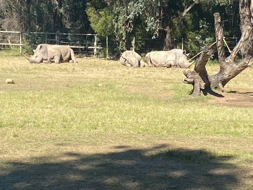 Dubbo Zoo , Parkes Orange & Bathurst Image -6a121b32ebfae