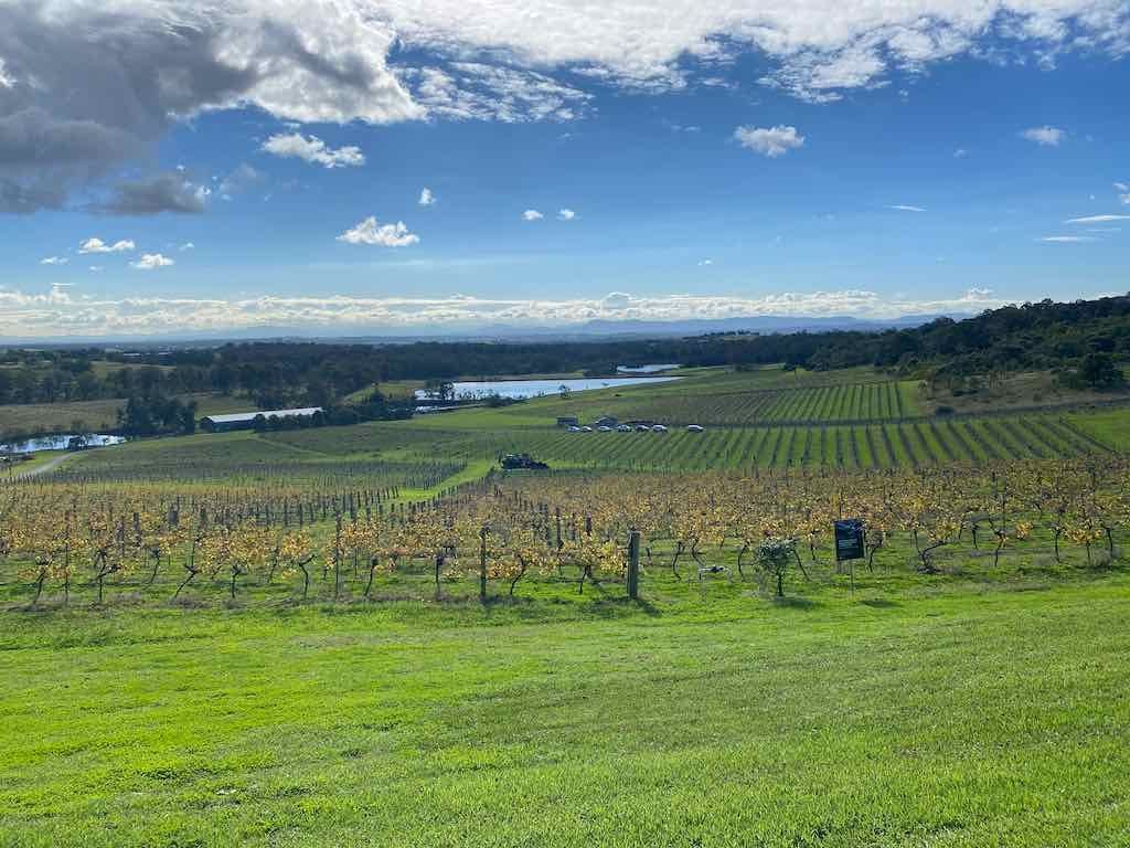 Hunter Valley : 22nd June 2026 Day Tour Image -6a53659b052dd