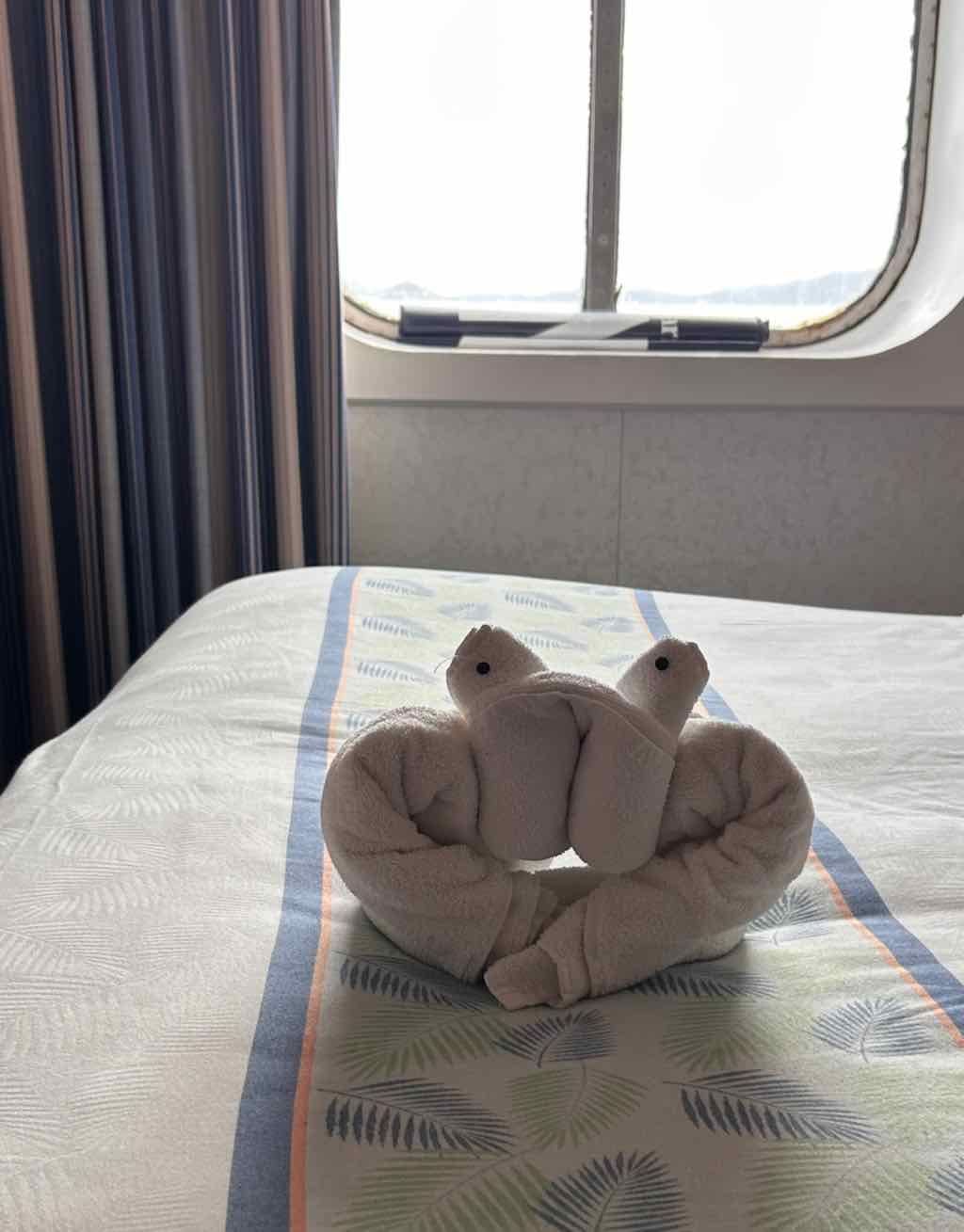June 2026 : 10 Day Carinval Cruise - Cairns , Arlie Beach & Moreton Bay Island Image -6a54ae350d798