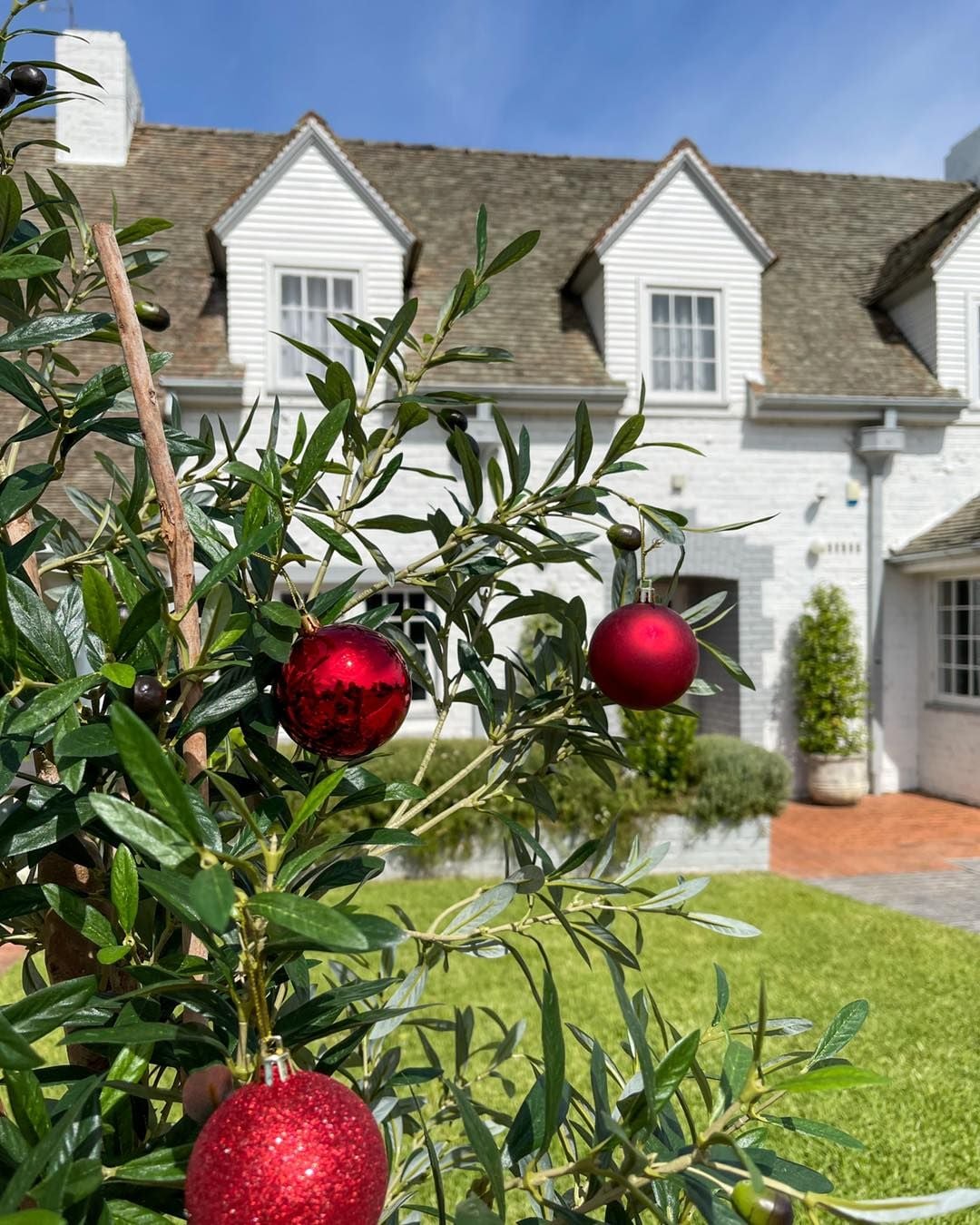 Christmas in July 2026 Camden Valley Inn Image -6a54cb453eda7