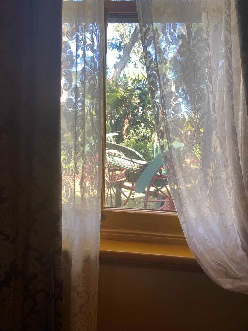 Carisbrook House Public Day Tour : July 2026 Image -6a54d0aa1590c