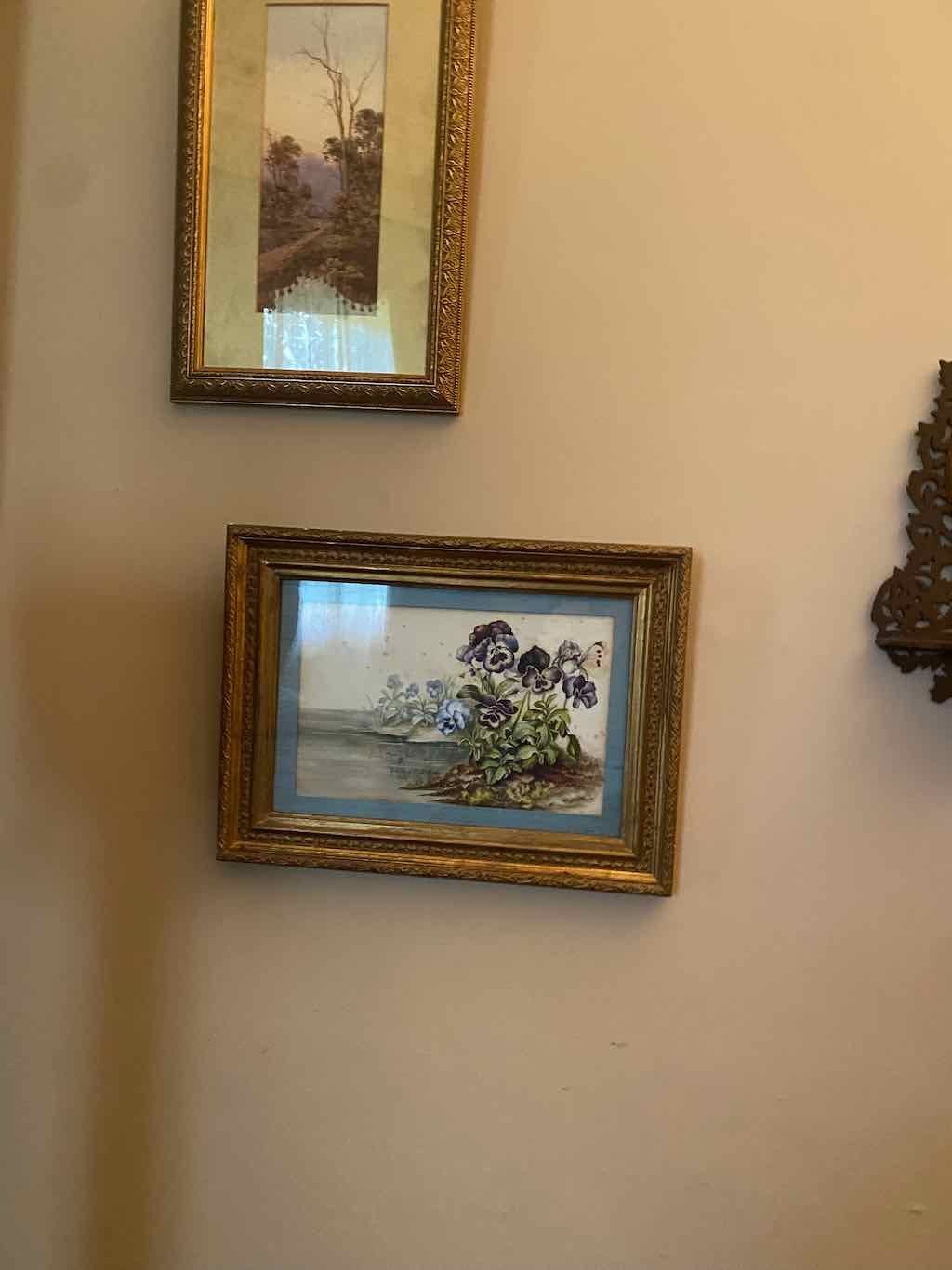 Carisbrook House Public Day Tour : July 2026 Image -6a54d0aabc983