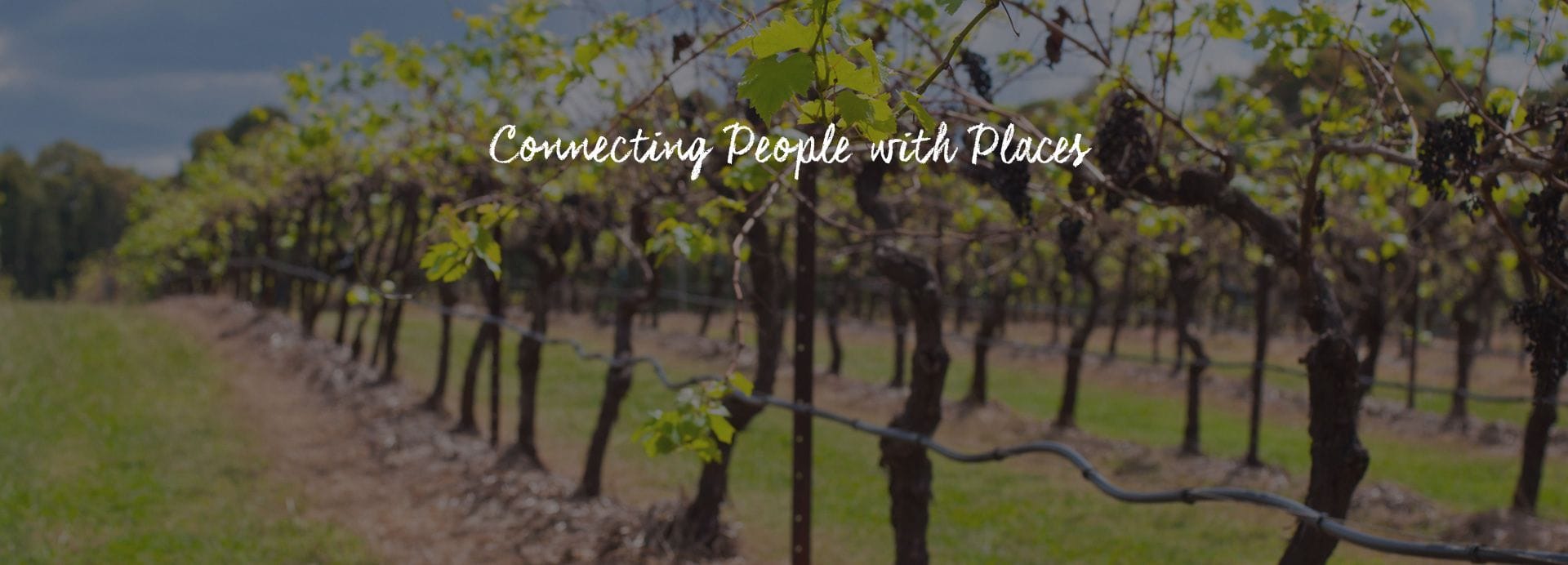 Connect Coaches Connecting People With Places