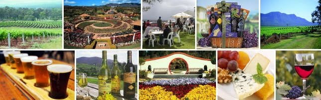 Connect Coaches Hunter Valley Wine Tasting Tours