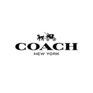 coach dfo homebush