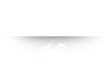SDM Quarter Horses