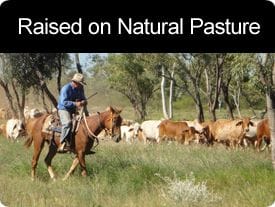 Raised on Natural Pasture