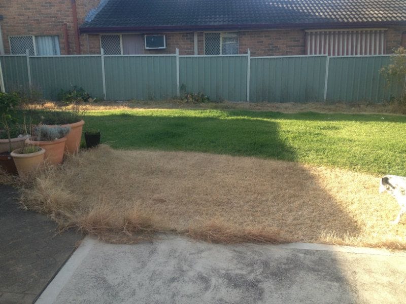 Thornton Landscaping
