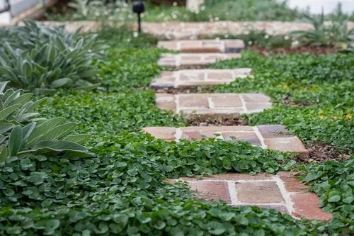 Recycled Brick Paving Image -646593f149fc9