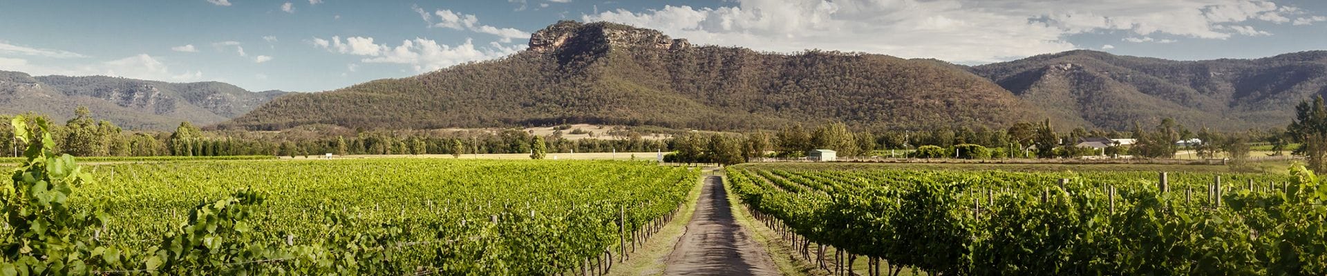 Pokolbin Hire Cars Hunter Valley Wine Tours