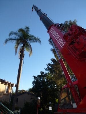 emergency work, crane work, land clearing