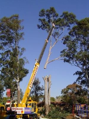 crane work, tree removal