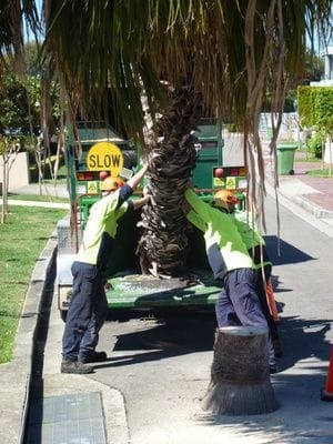 crane work, tree removal