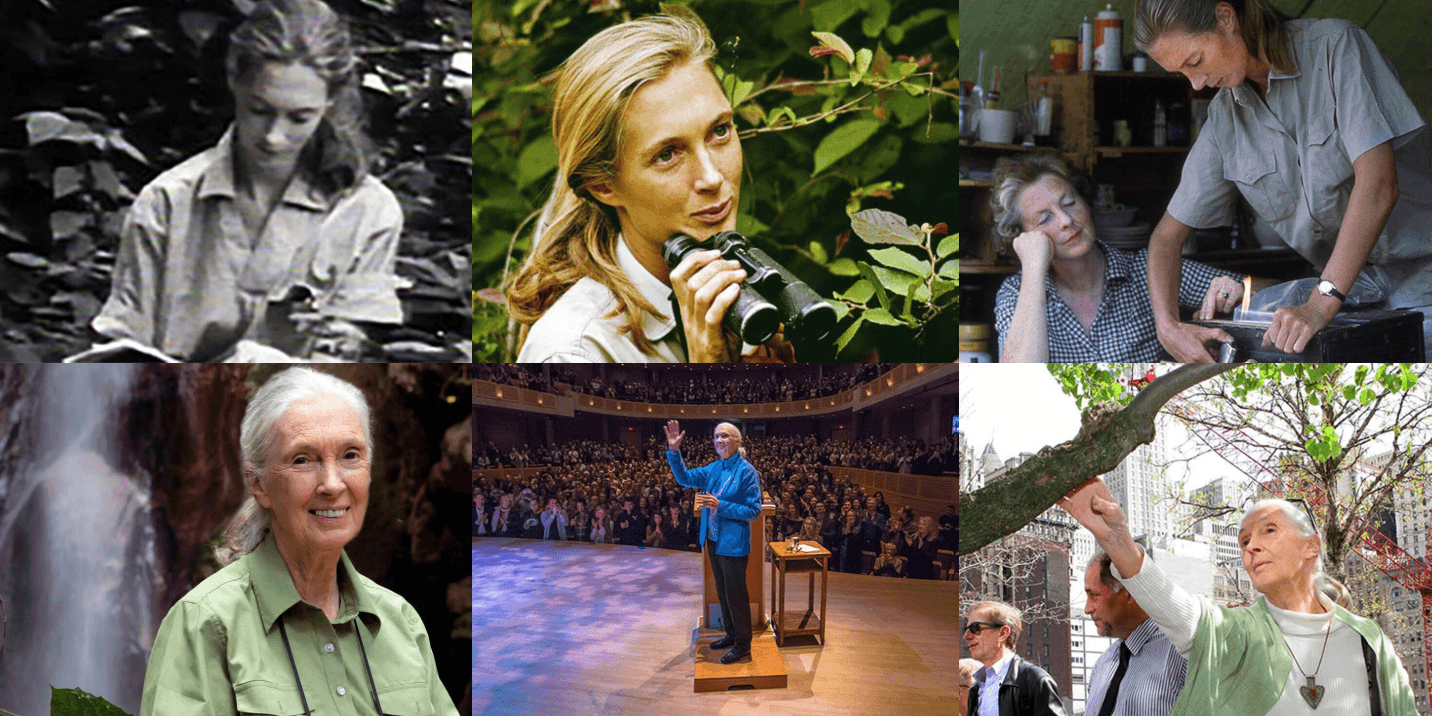 Jane Goodall - 21 Branding Lessons