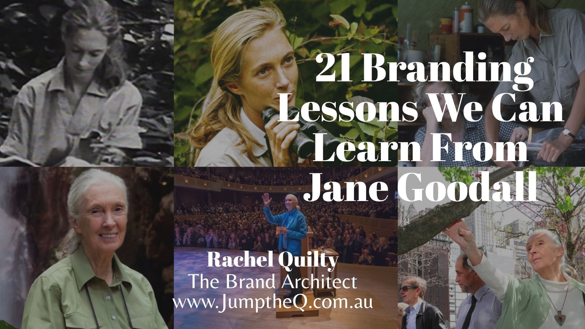 Jane Goodall: 21 Brand Lessons & Case Studies