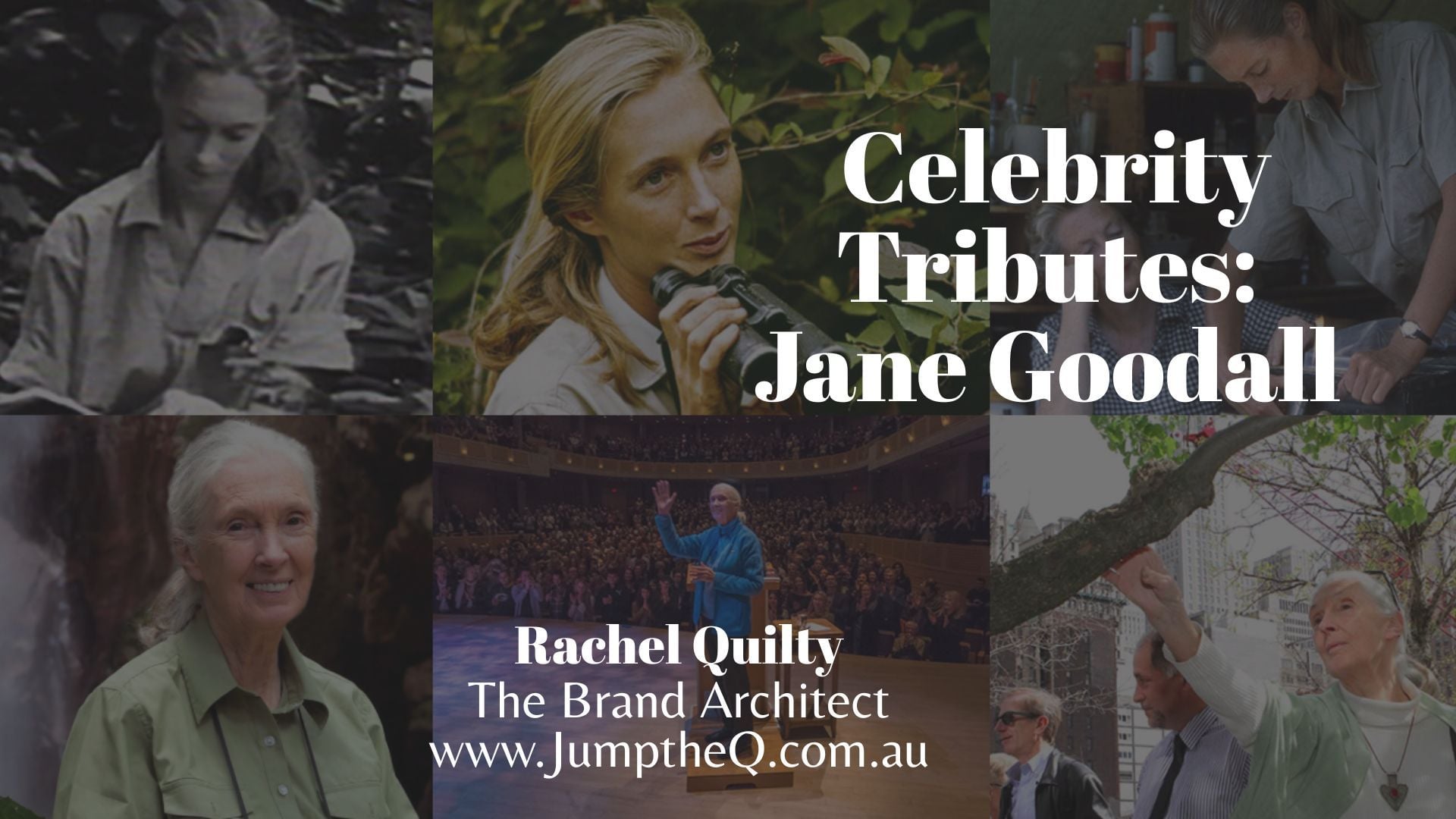 Jane Goodall - Celebrity Tributes