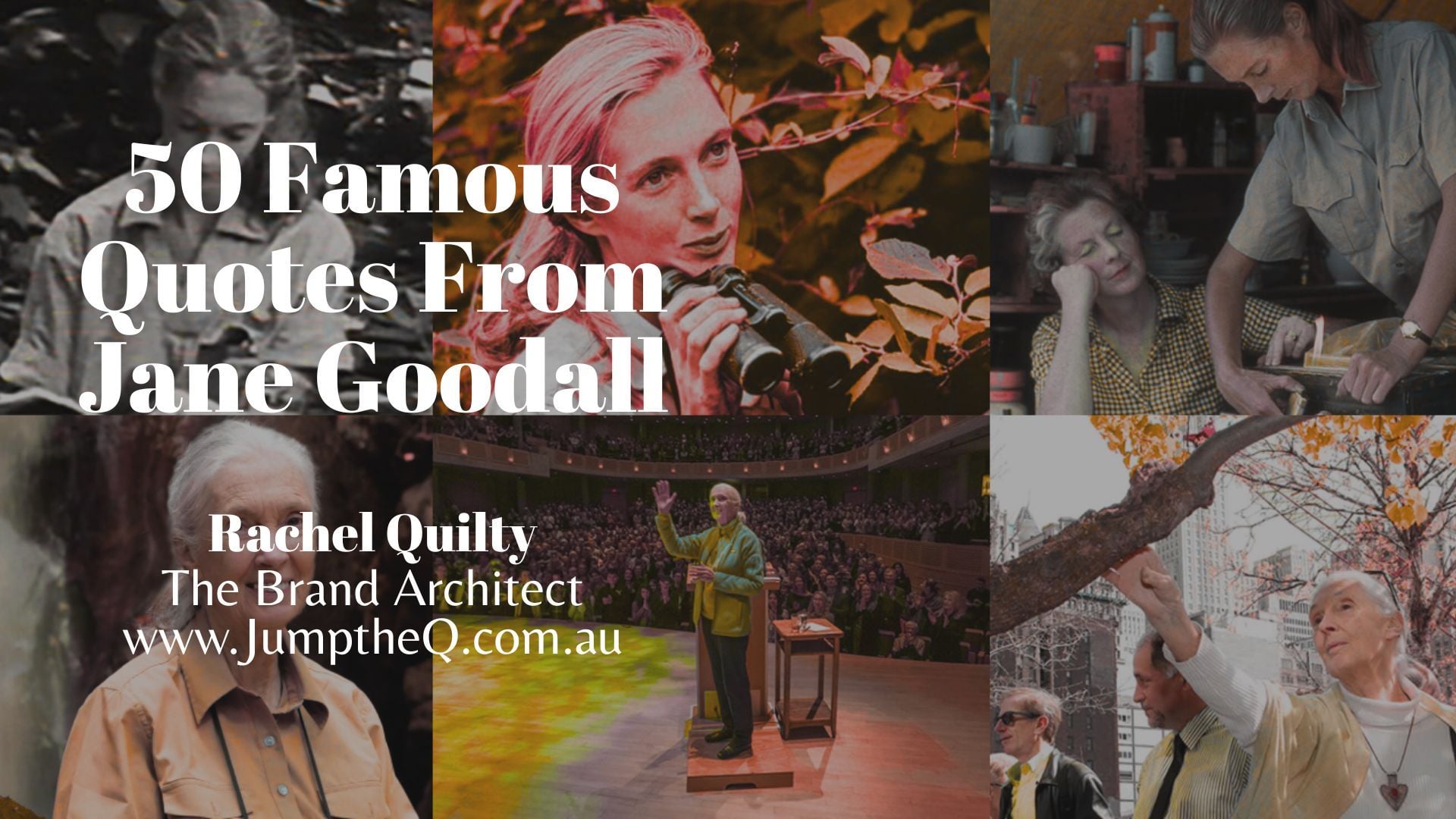 Jane Goodall: 50 Inspiring Quotes