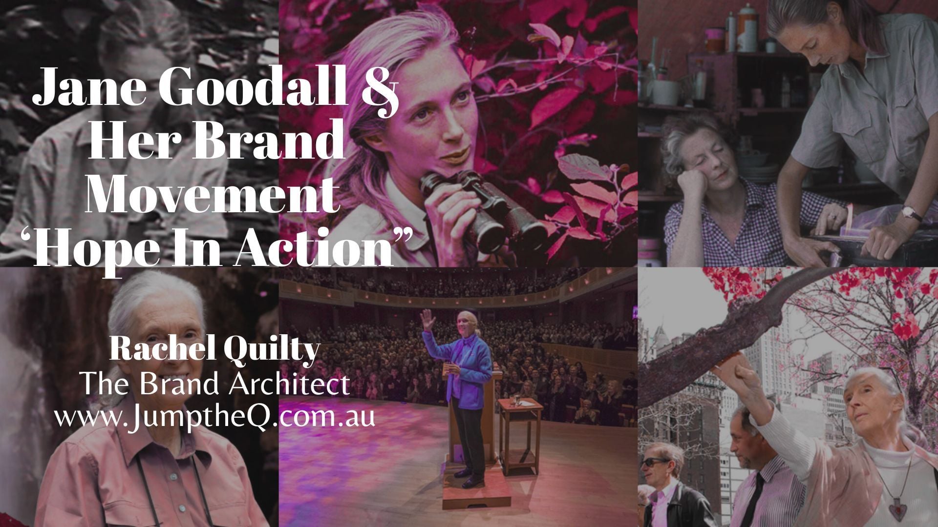 Jane Goodall's Brand Movement