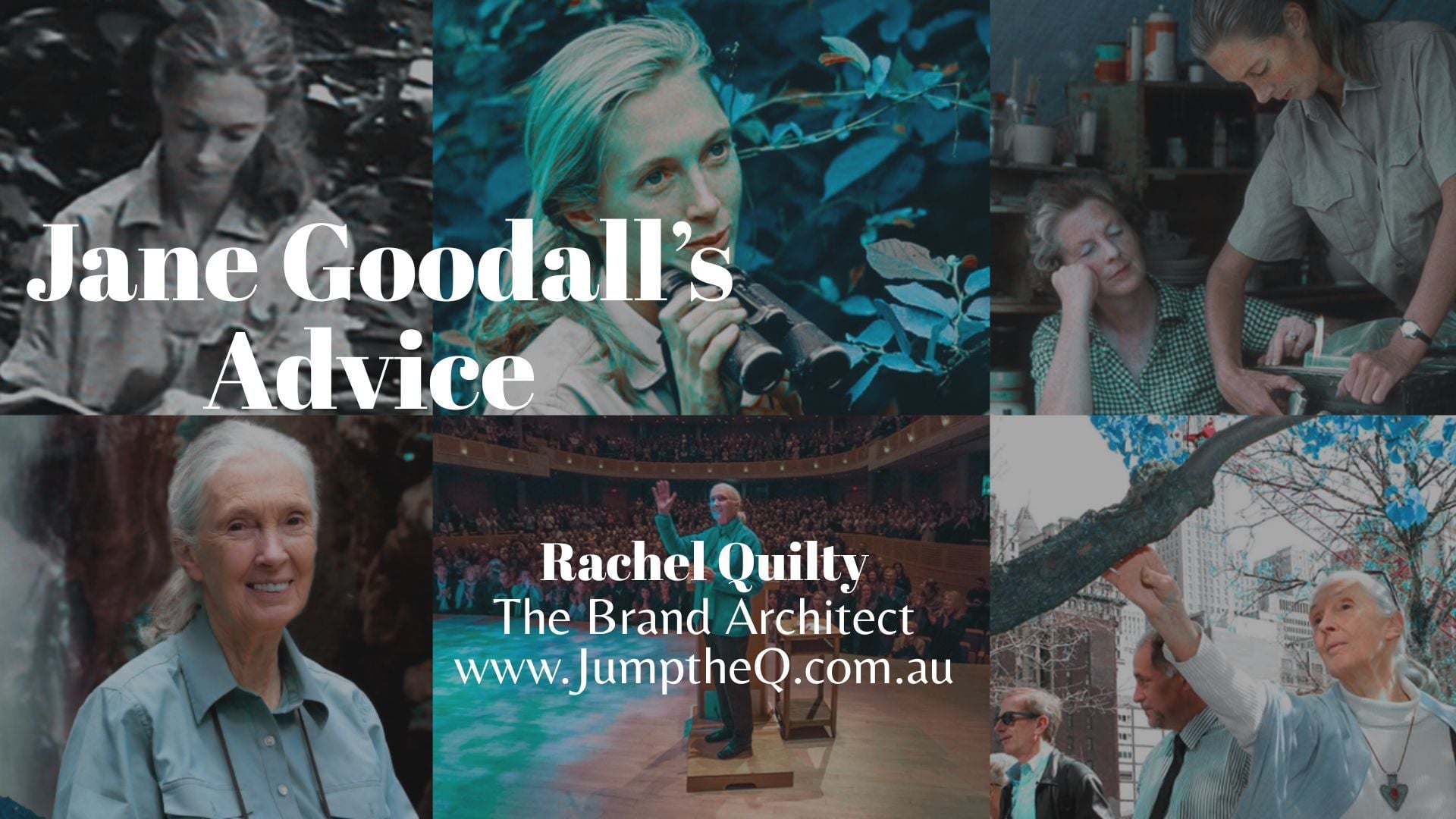 Jane Goodall's Advice