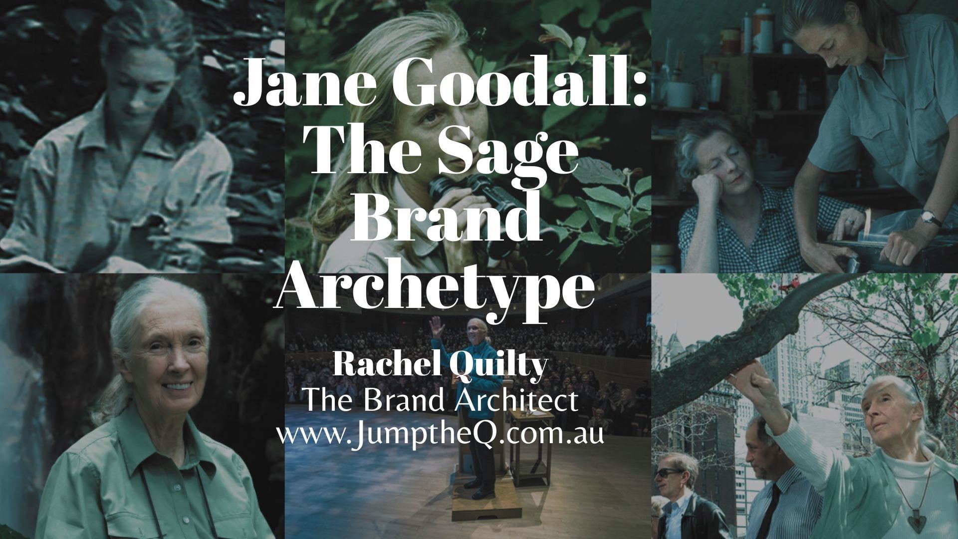 Jane Goodall The Sage Brand Archetype